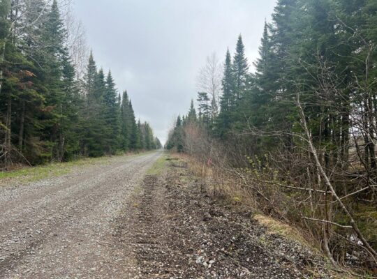 Ste-Apolline-de-Patton : Terre à bois 558 acres