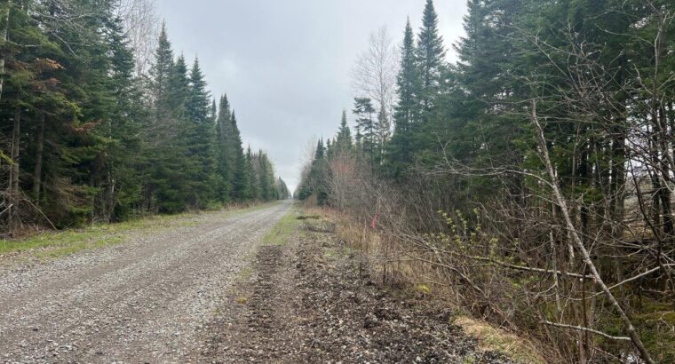 Ste-Apolline-de-Patton : Terre à bois 353 acres