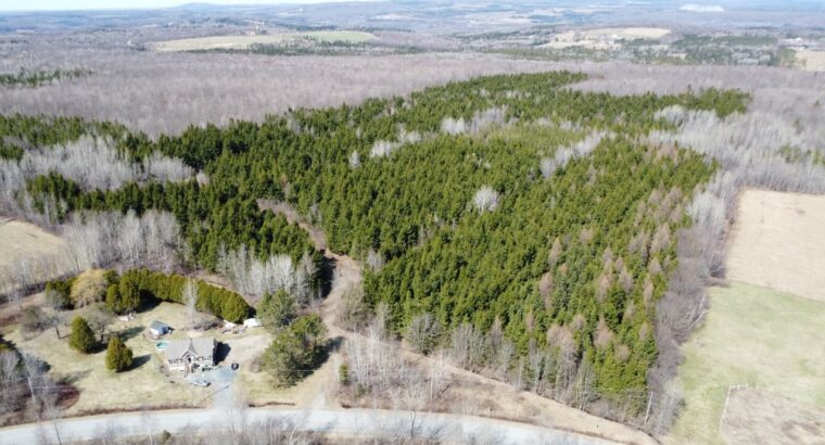 Danville (Estrie) : Terre à bois 193ac. droit cons