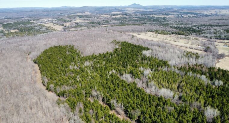 Danville (Estrie) : Terre à bois 193ac. droit cons