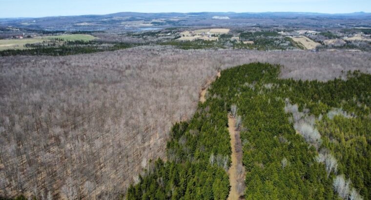 Danville (Estrie) : Terre à bois 193ac. droit cons