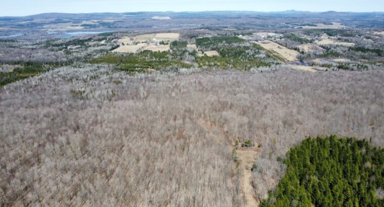 Danville (Estrie) : Terre à bois 193ac. droit cons