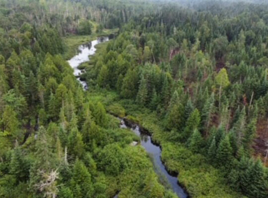Val-Racine (Estrie) Terre à bois 90 acres chasse