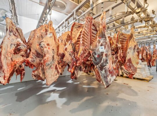 Lochaber-Partie Ouest (Outaouais): Boucherie