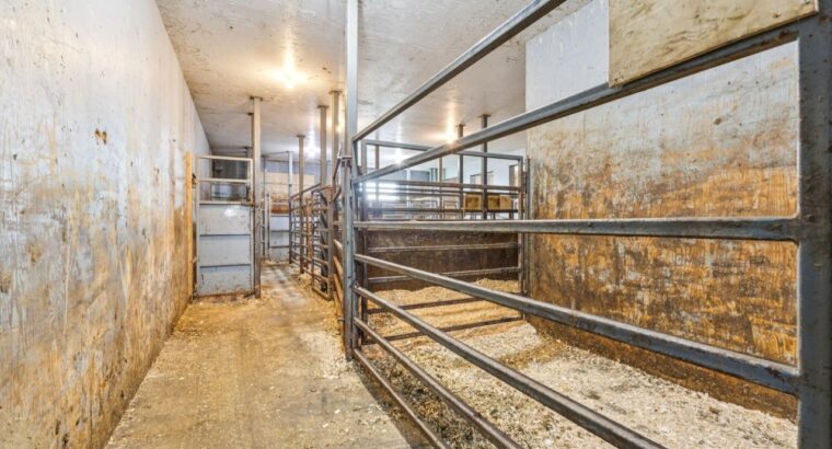 Lochaber-Partie Ouest (Outaouais): Boucherie