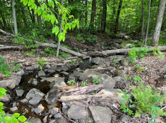 St-Calixte,Terrain résidentiel à vendre 3 401.3m2