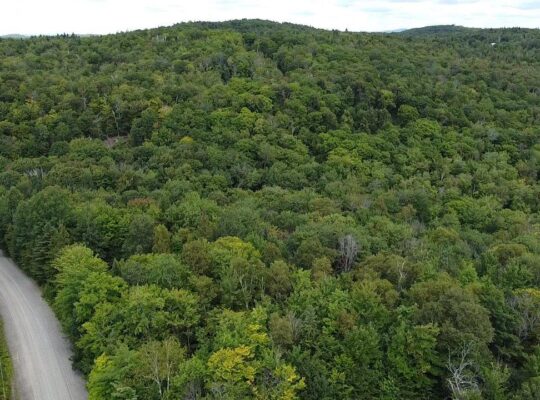 St-Calixte,Terrain résidentiel à vendre 3 401.3m2