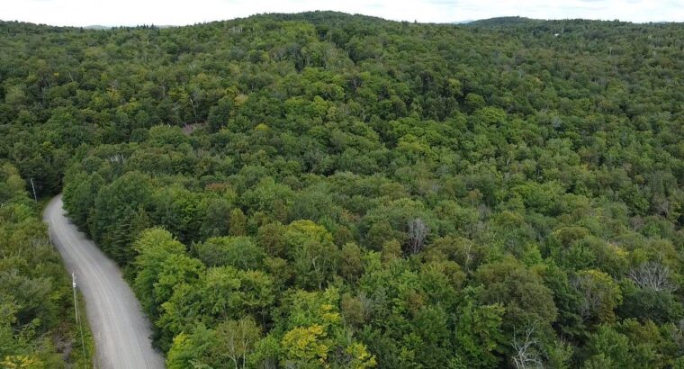 St-Calixte,Terrain résidentiel à vendre 3 401.3m2