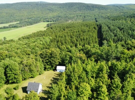 St-Sylvestre (Chaudière-Appalaches) : Terre à bois