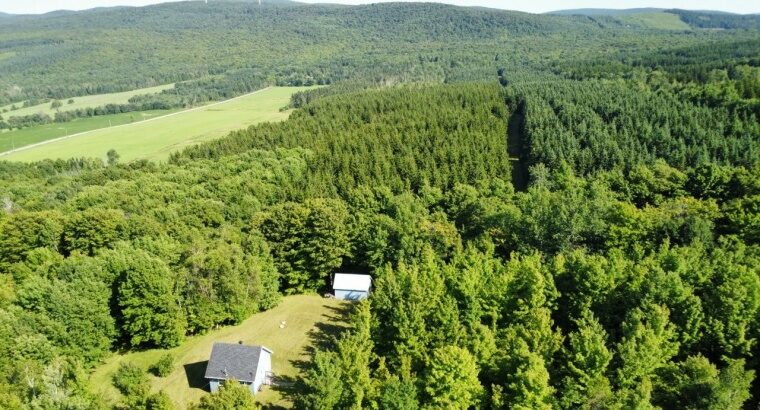 St-Sylvestre (Chaudière-Appalaches) : Terre à bois