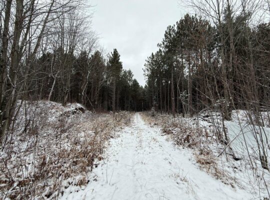 St-Lucien, terre à bois de 21 acres droit constr.
