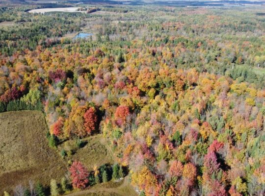 Tingwick (Centre-du-Québec) : Fermette de 77 acres