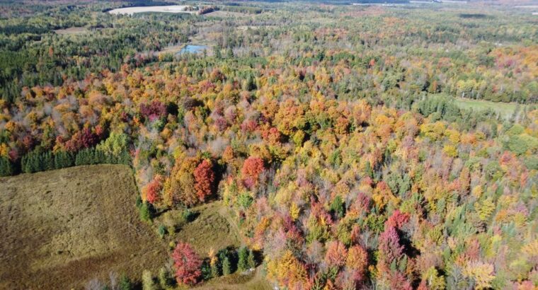 Tingwick (Centre-du-Québec) : Fermette de 77 acres