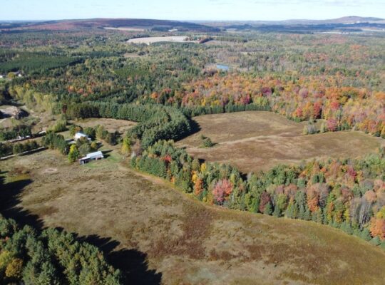 Tingwick (Centre-du-Québec) : Fermette de 77 acres
