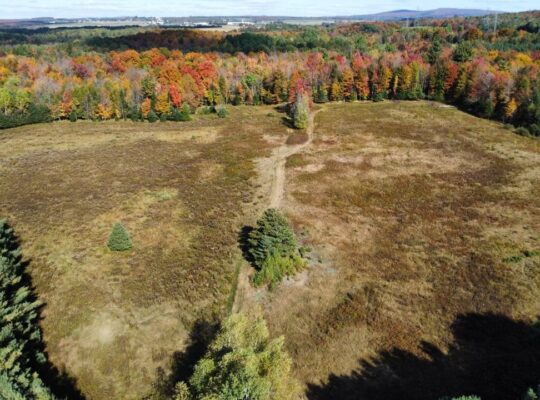 Tingwick (Centre-du-Québec) : Fermette de 77 acres
