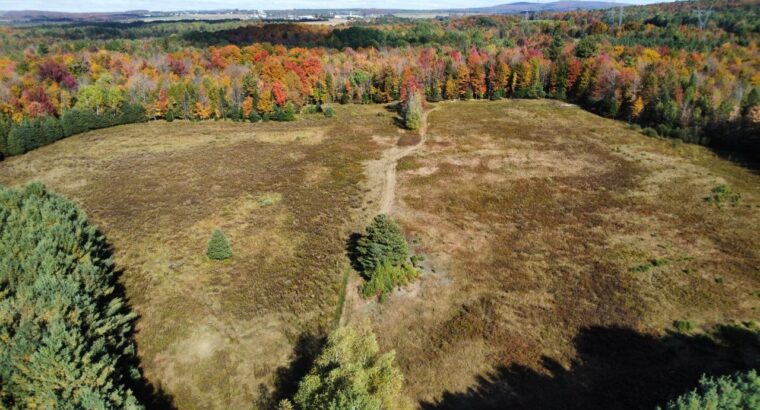 Tingwick (Centre-du-Québec) : Fermette de 77 acres
