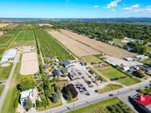 St-Joseph-du-Lac (Laurentides) : cidrerie équipée