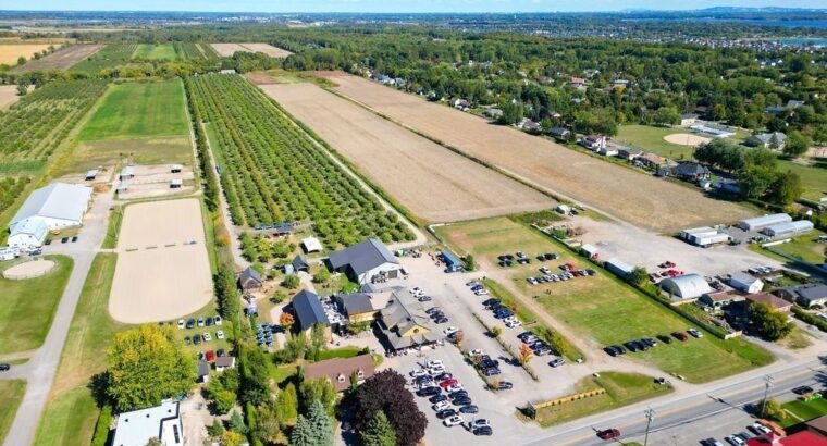 St-Joseph-du-Lac (Laurentides) : cidrerie équipée