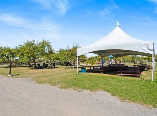 St-Joseph-du-Lac (Laurentides) : cidrerie équipée