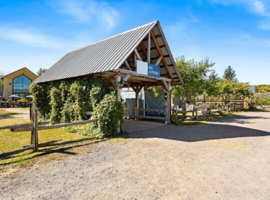 St-Joseph-du-Lac (Laurentides) : cidrerie équipée
