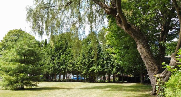 Danville, maison 3c, grande cour arrière