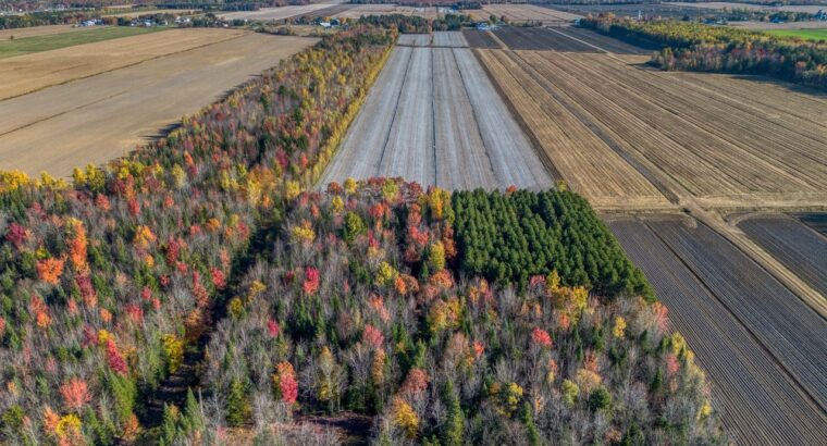 St-Cyrille-de-Wendover – Domaine agricole Ranch