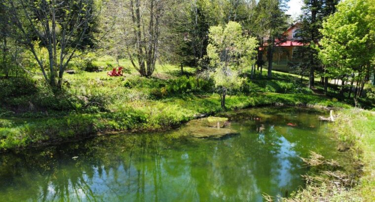 St-Ferdinand (Centre du Québec) Domaine 135 acres