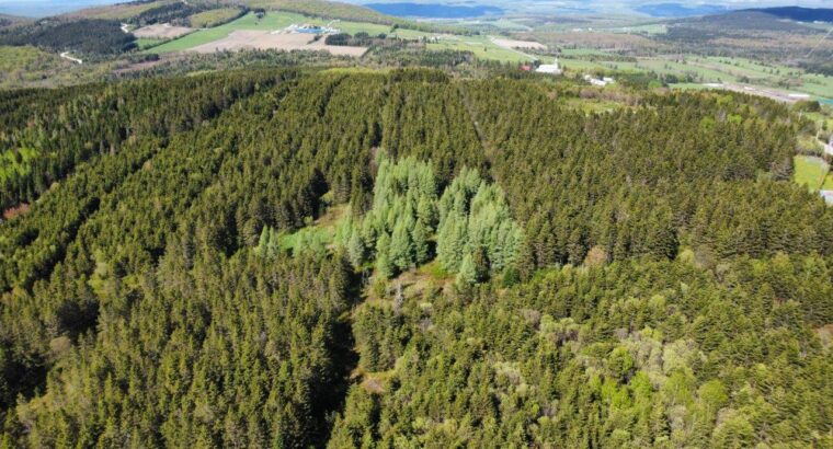 St-Ferdinand (Centre du Québec) Domaine 135 acres