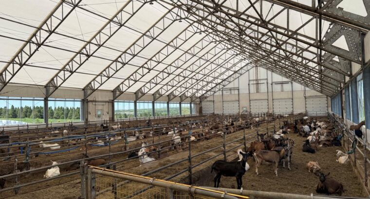 St-Camille : Ferme de chèvres laitières 158 acres