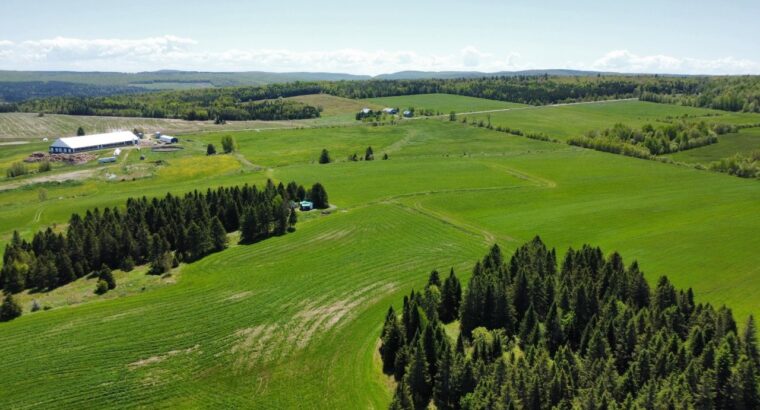 St-Camille : Ferme de chèvres laitières 158 acres