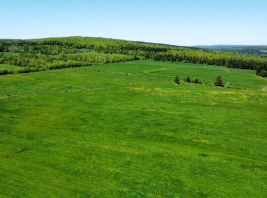St-Camille : Ferme de chèvres laitières 158 acres