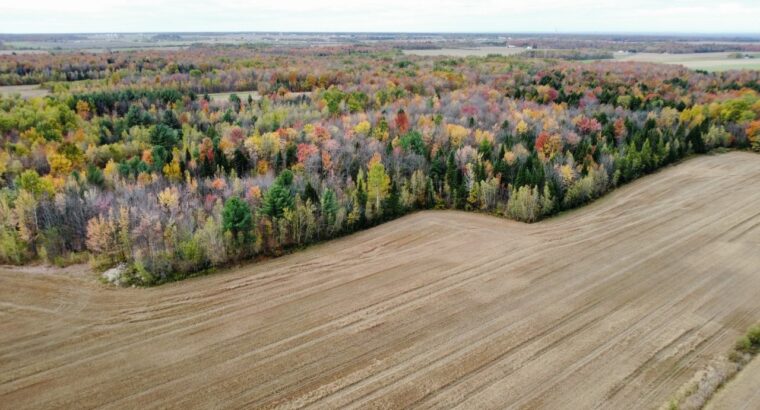 St-Célestin (Centre-du-Québec) : Terre de culture