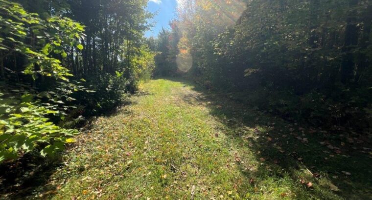 St-Amable (Montérégie) : terre à bois 25 acres