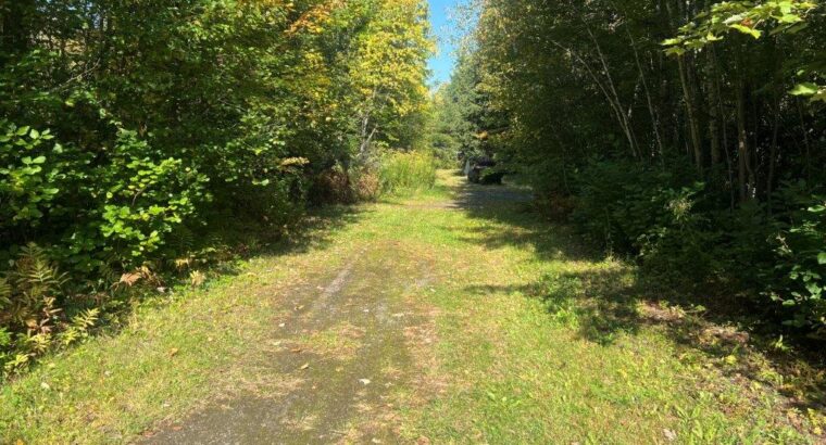 St-Amable (Montérégie) : terre à bois 25 acres