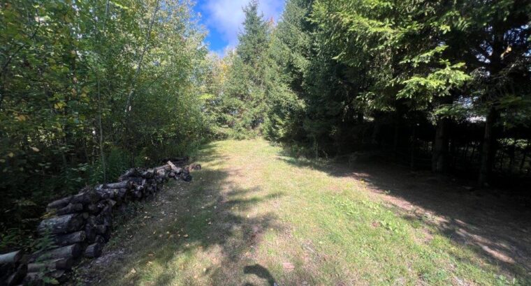 St-Amable (Montérégie) : terre à bois 25 acres