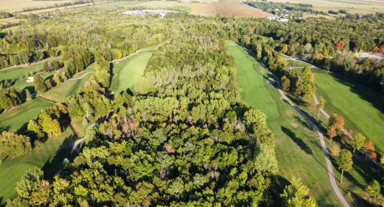 Montérégie (St-Jean-sur-Richelieu) : Terre à bois