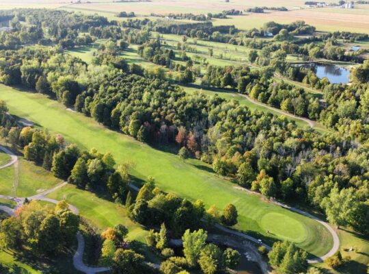 Montérégie (St-Jean-sur-Richelieu) : Terre à bois