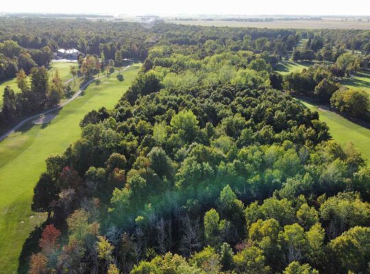 Montérégie (St-Jean-sur-Richelieu) : Terre à bois
