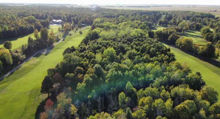 Montérégie (St-Jean-sur-Richelieu) : Terre à bois