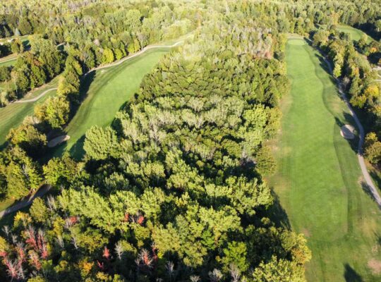 Montérégie (St-Jean-sur-Richelieu) : Terre à bois