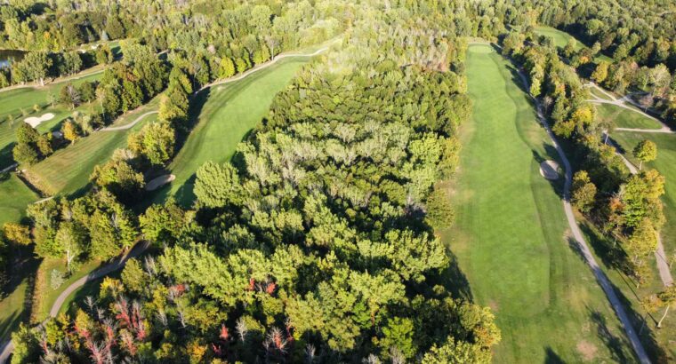 Montérégie (St-Jean-sur-Richelieu) : Terre à bois