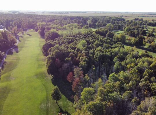 Montérégie (St-Jean-sur-Richelieu) : Terre à bois