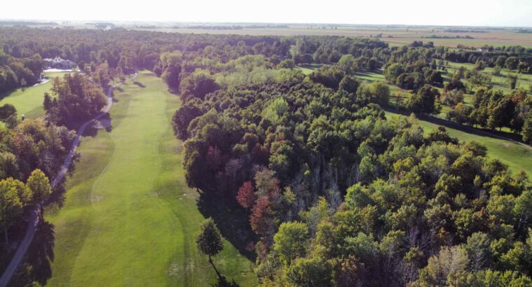 Montérégie (St-Jean-sur-Richelieu) : Terre à bois
