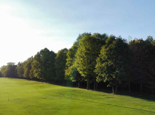 Montérégie (St-Jean-sur-Richelieu) : Terre à bois