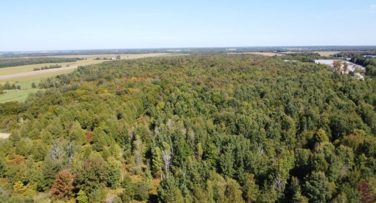 Notre-Dame-du-Bon-Conseil Terre à bois