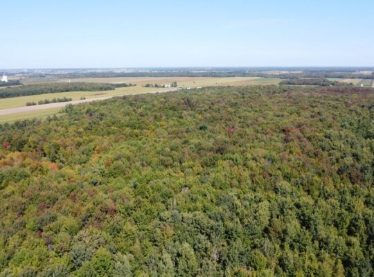 Notre-Dame-du-Bon-Conseil Terre à bois