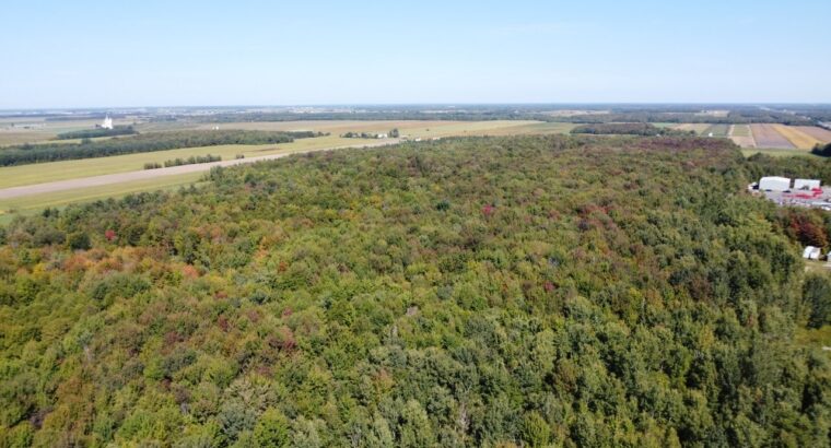 Notre-Dame-du-Bon-Conseil Terre à bois