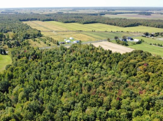 Notre-Dame-du-Bon-Conseil Terre à bois