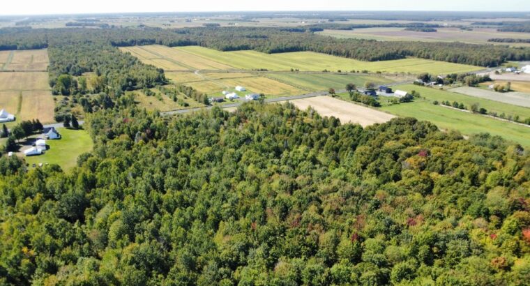 Notre-Dame-du-Bon-Conseil Terre à bois