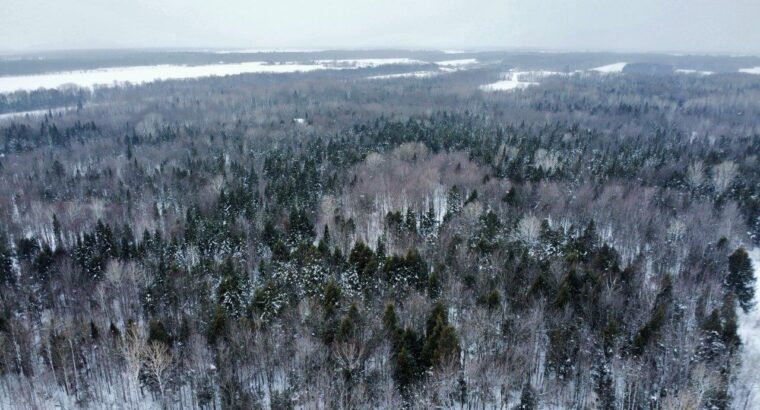 Fortierville :Terre à bois 180 acr chalet